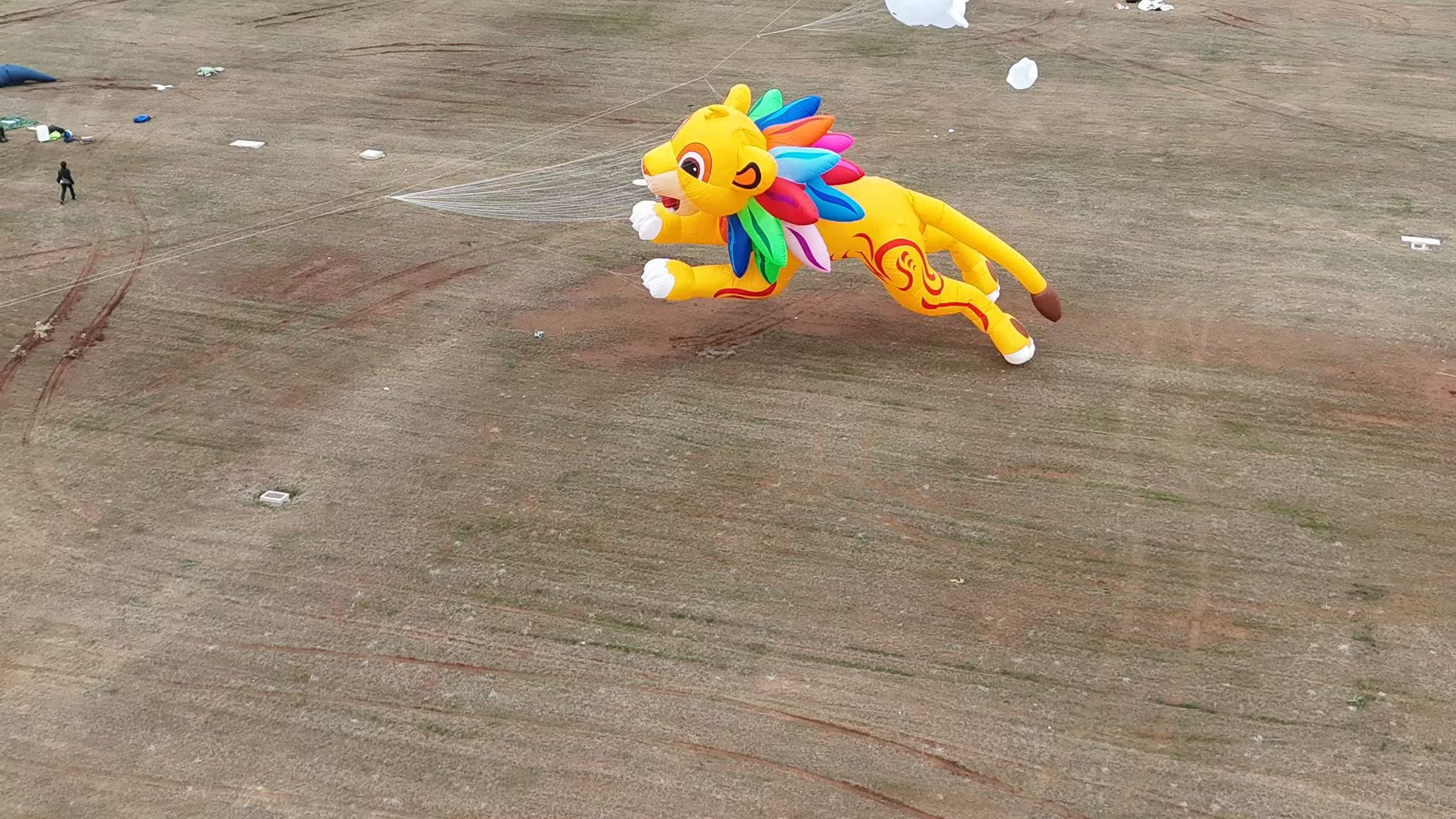 汕头市品牌风筝定制风筝加工 - 推荐