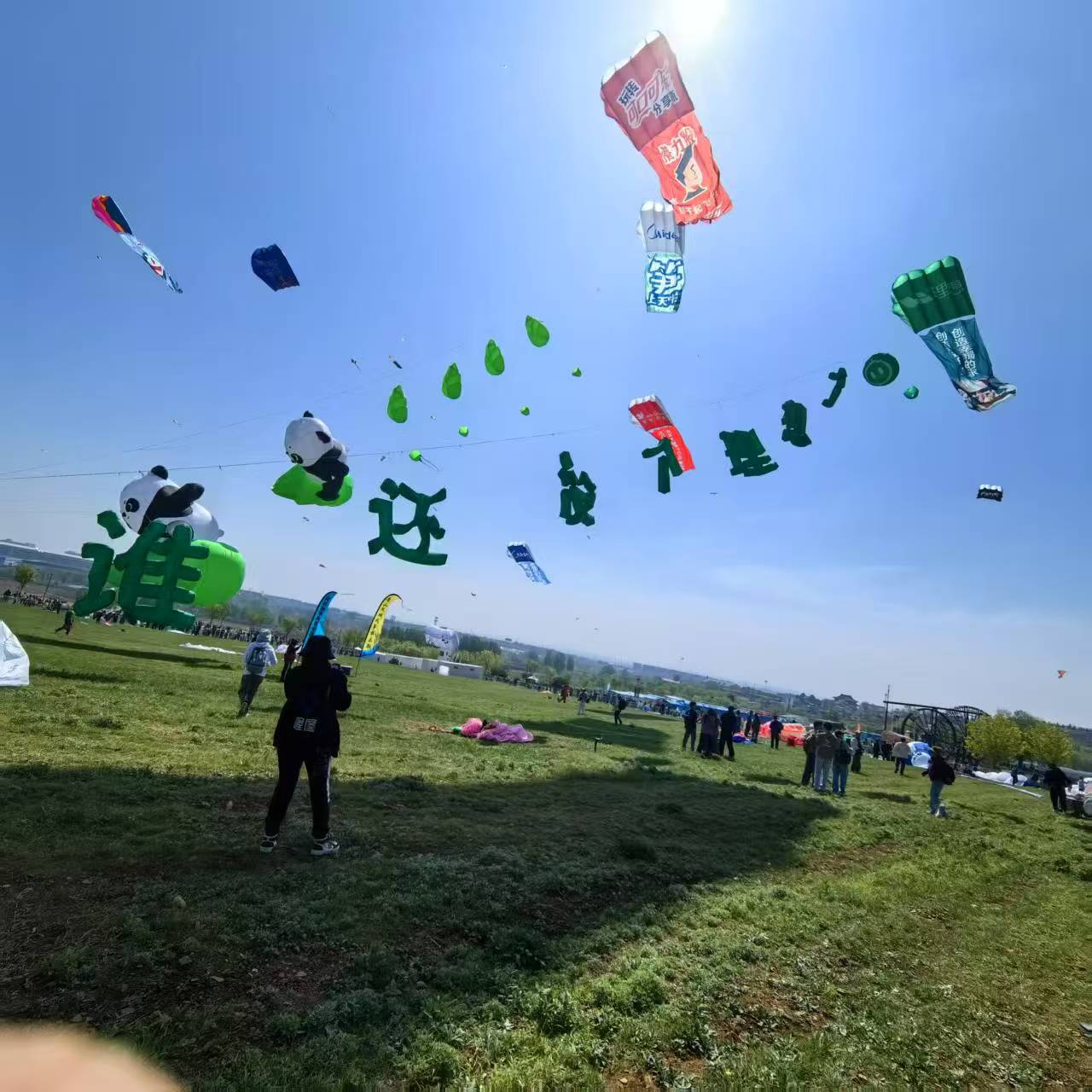 汕头市风筝定制风筝定制 - 方案